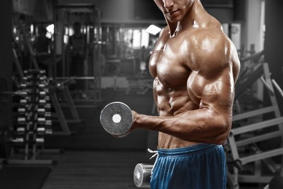 programme musculation biceps